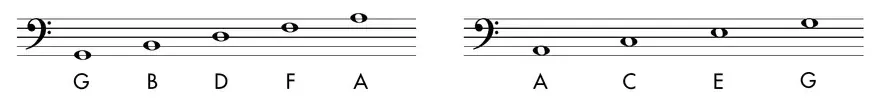 Diagram: line and space notes of the bass clef staff