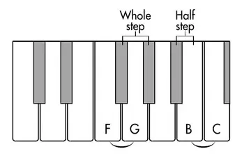 Diagram: whole steps shown as two half steps across keyboard notes