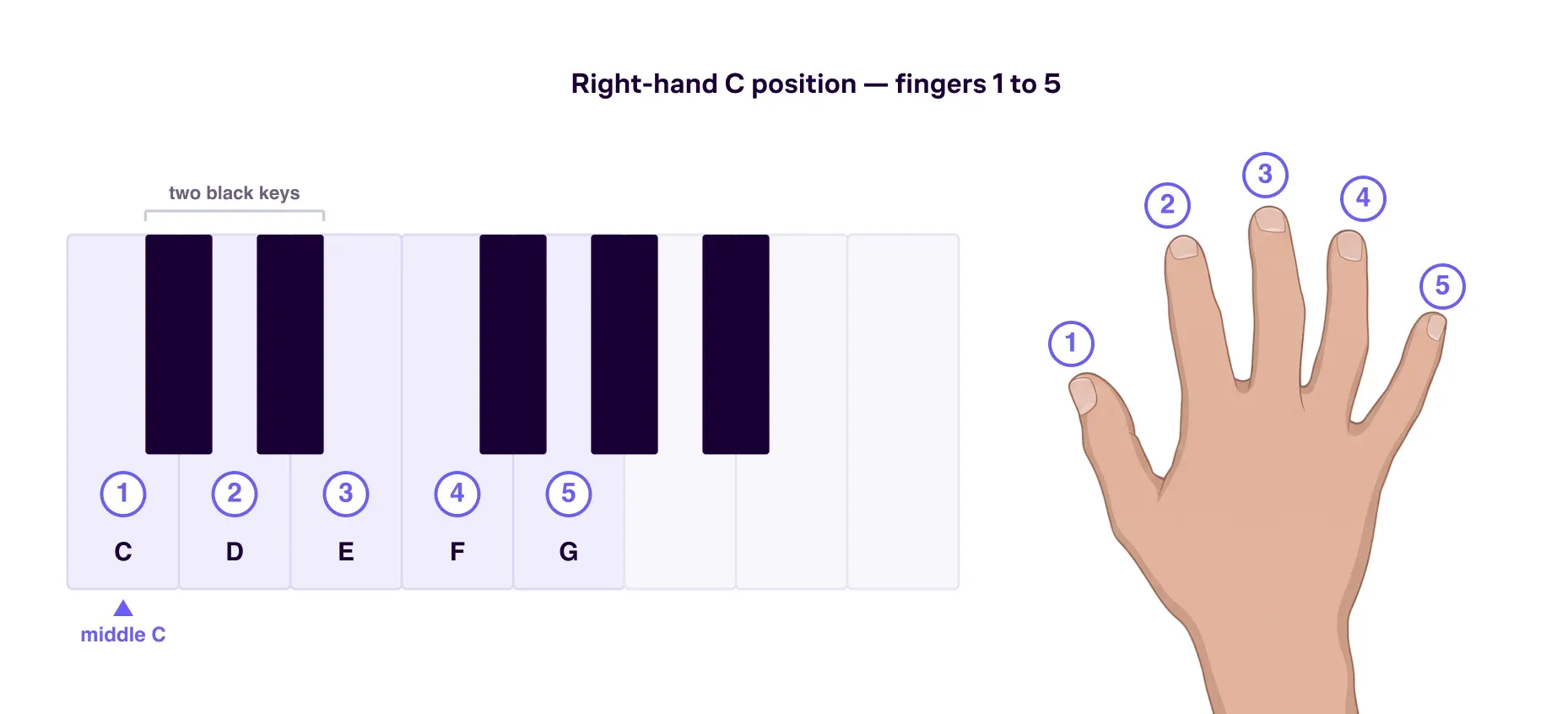 A right hand in C position on the piano keyboard, with the fingers numbered 1 to 5 on C, D, E, F, and G.